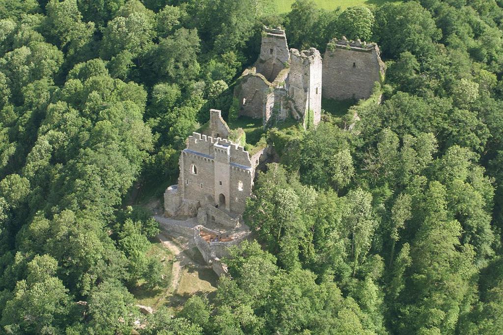 Domaine De La Dame De Lauriere Bed and Breakfast Solignac Exteriör bild